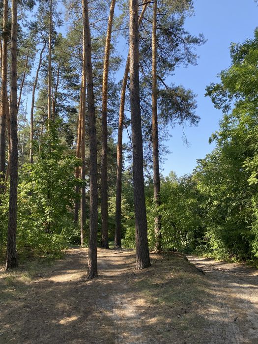 Продаж великої  квартири, можливо під офіс.