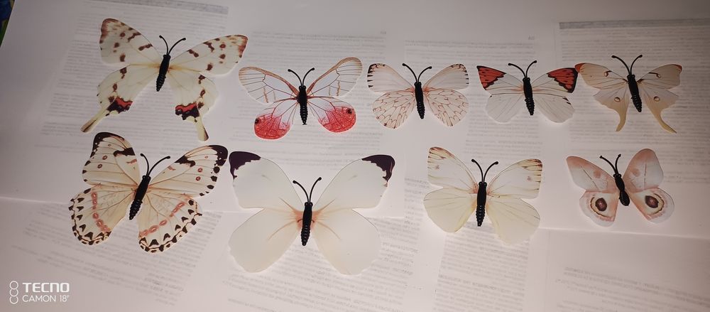 Метелелыки для холодильника липучки