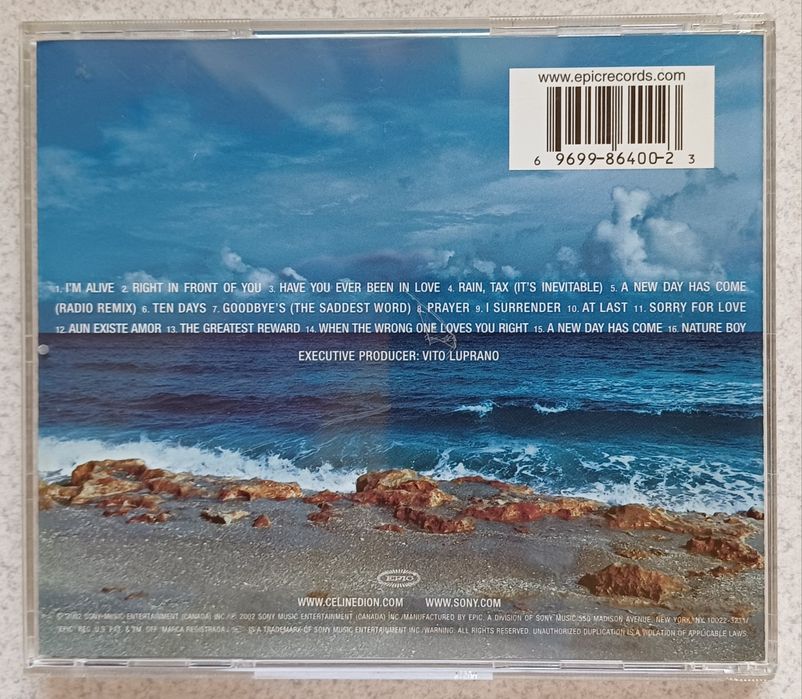 Celine Dion - A New Day Has Come (CD)