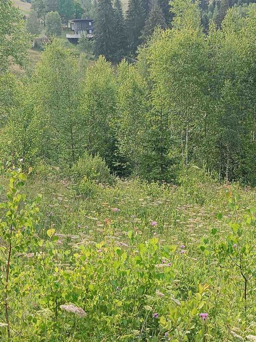 Продаж земельної ділянки під відпочинкові будиночки!