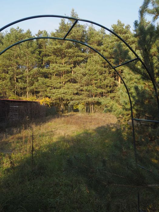Dzikowo Chrapy działka przy lesie z warunkami zabudowy - uzbrojona i ogrodzona – pohled 5
