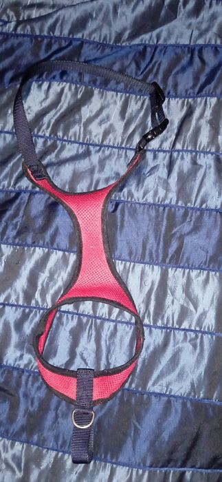 продам шлейку-ошейник для собак и кошек
