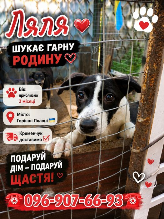 Забери цю крихітку до себе благаю вас