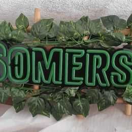 Vende-se Luminoso Sommersby
