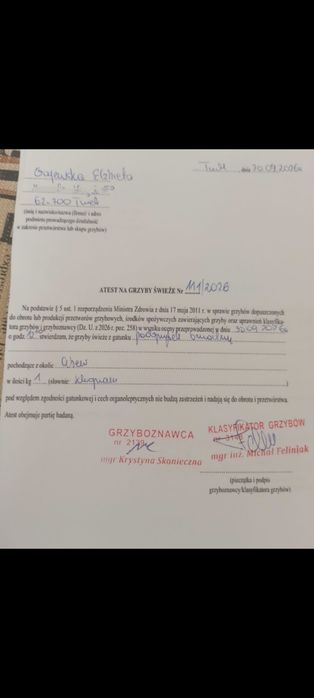 Grzyby marynowane maślak, gąski, grzyby suszone