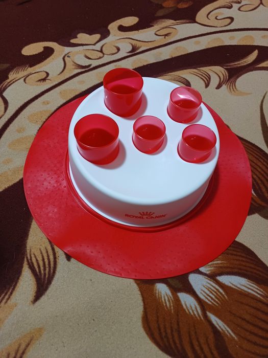 Миска для котів.миска кота