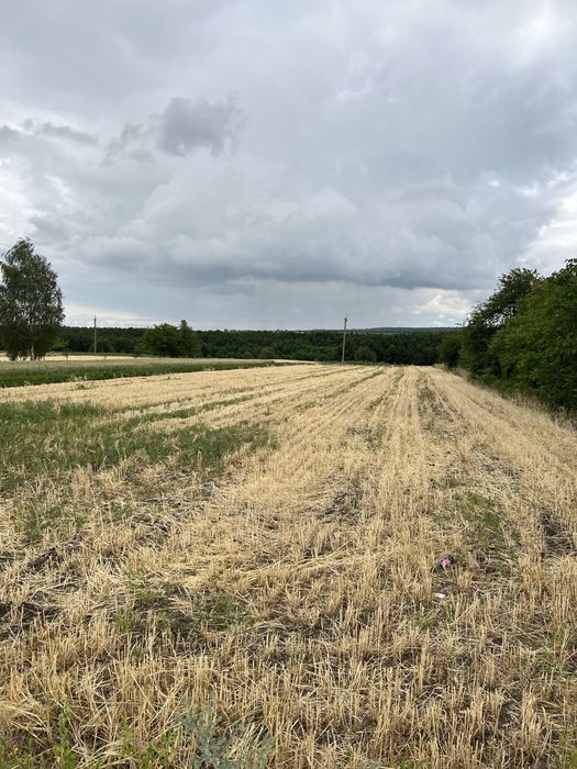 Продаж ділянки під будівництво в с. Орестів