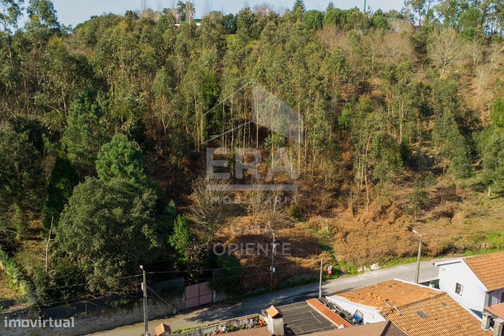 Terreno 1500 m² em Sanguedo