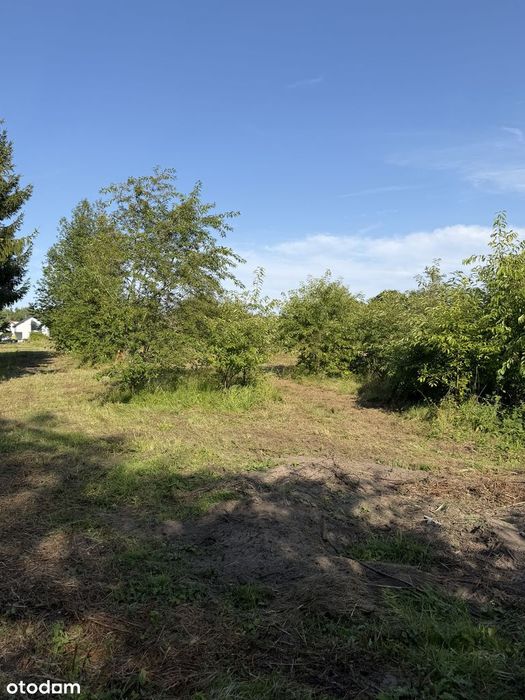Wyjątkowa działka nad morzem 1 819 m² blisko plaży i Kołobrzegu