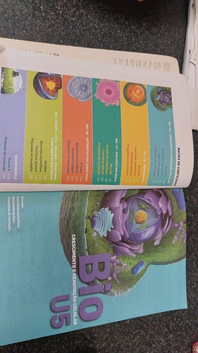 Testes e Exames Biologia e Geologia