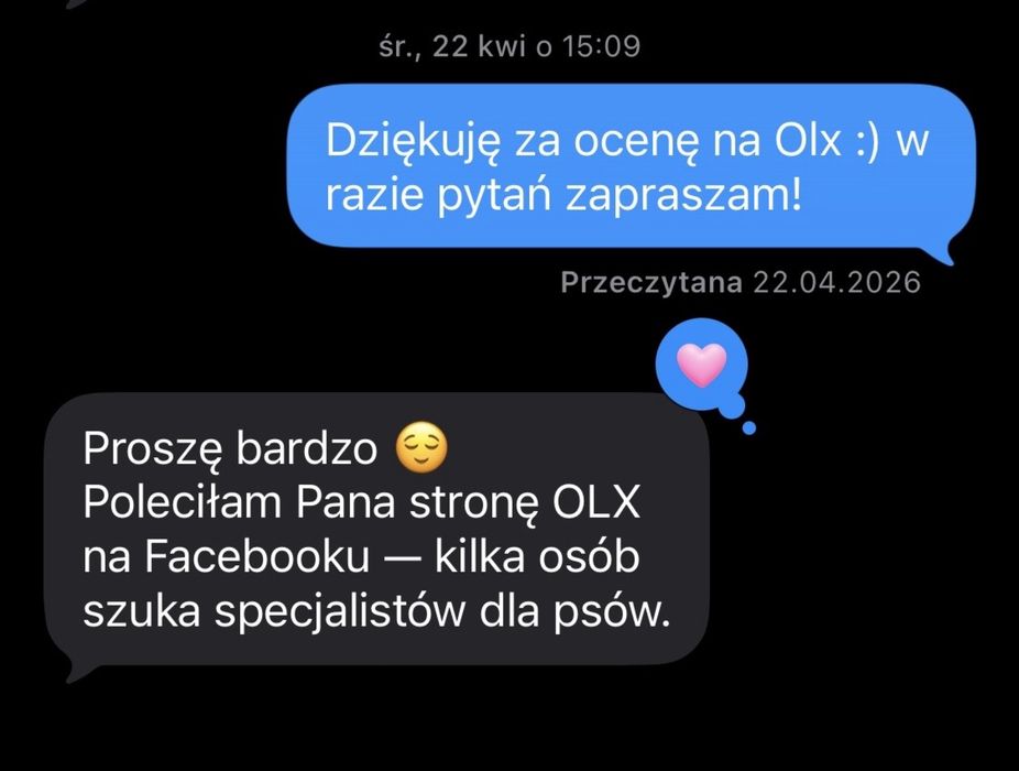 Trener Psów - Behawiorysta - Treningi indywidualne