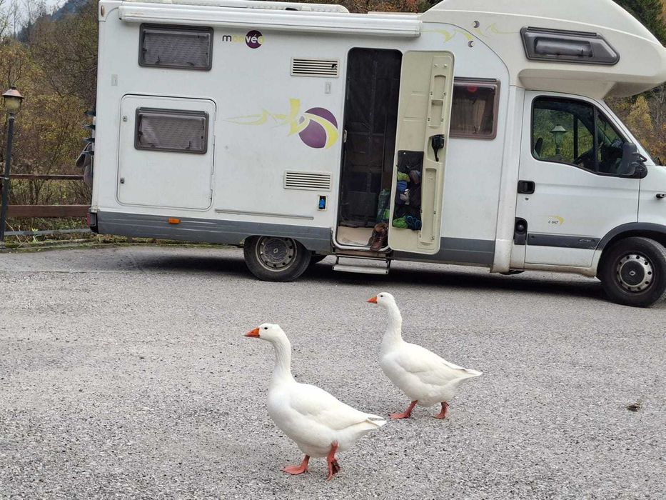 Autocaravana familiar fiável com cama de casal e beliche