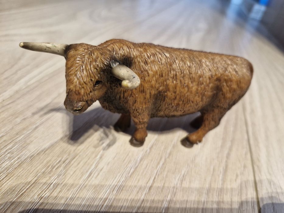 Figurka Schleich byk rasa wyżynna/highland