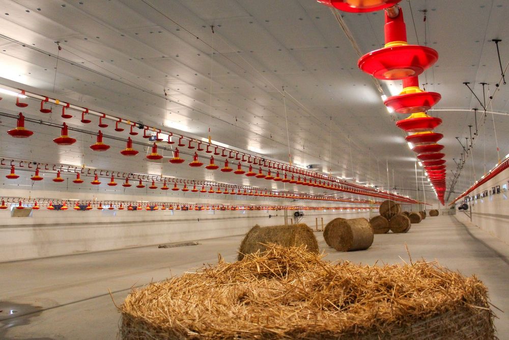 Styrodur XPS AGRO Płyty Izolacyjne Dachowe Obornickie Nie Warstwowe