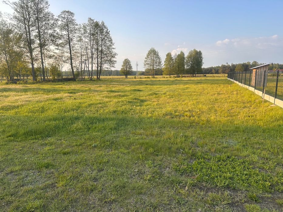 Działka cicha okolica 30 ar - Widok 5