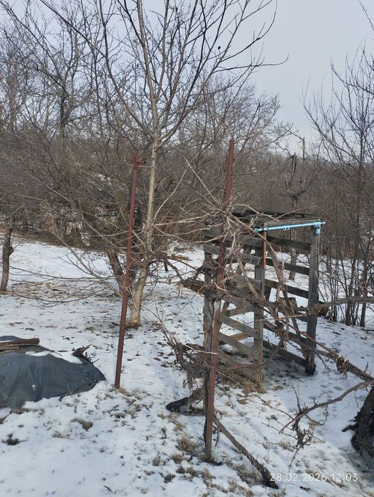 Затишна дача на 7 сотках – ідеальне місце для відпочинку