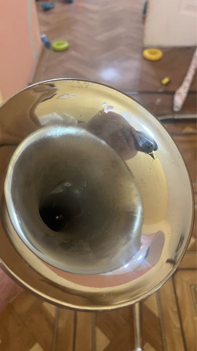 Пневмо сигнали,сигнали для фури,дудки