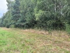 Działka rolna 1.46 ha, Białki gm. Tłuszcz - View 5