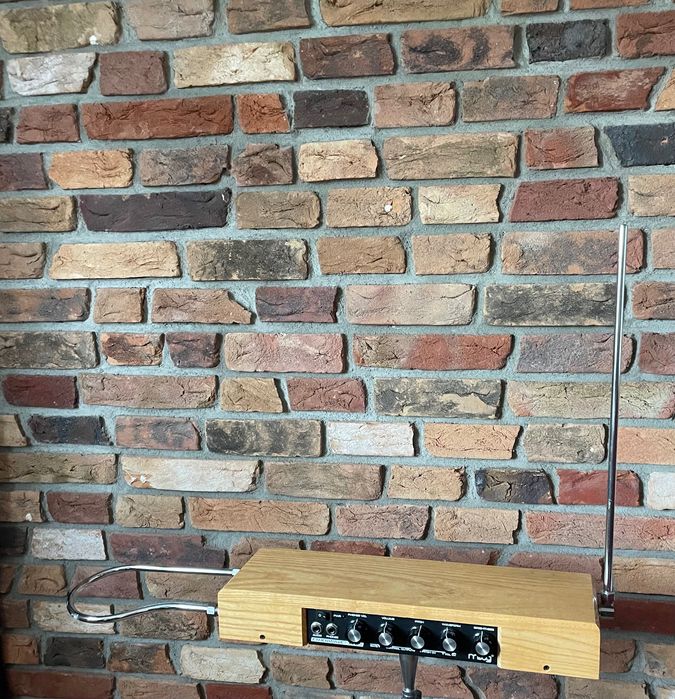 Moog Etherwave Plus Theremin