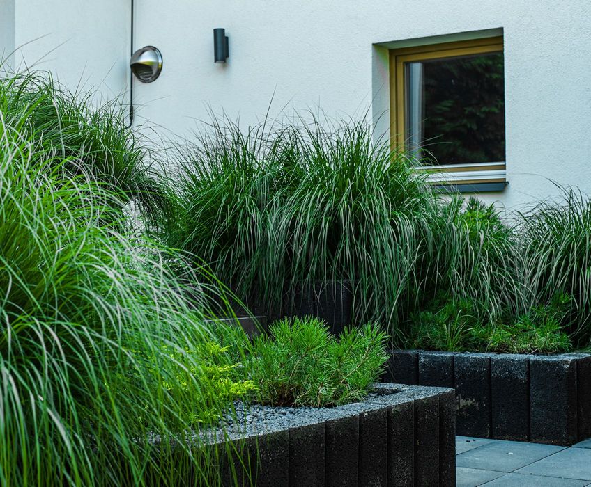 Budowa ogrodu • Nawodnienie • Projekt • Realizacja