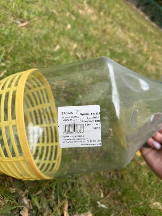 Gąsior Dama 5L w koszyku plastikowym