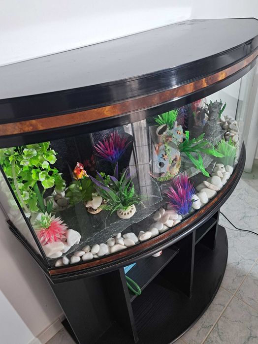 Aquário com móvel
