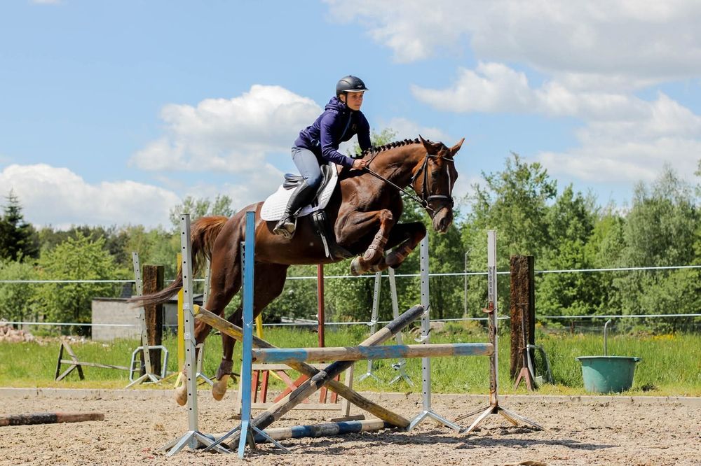 Jazda konna.Treningi sportowe.