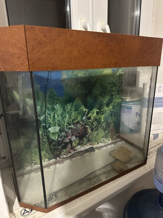 Аквариум / террариум ~90 л, фильтр, сачек 2 штуки, декоративный фон