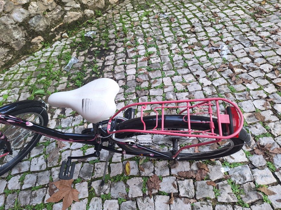 Bicicleta adriática