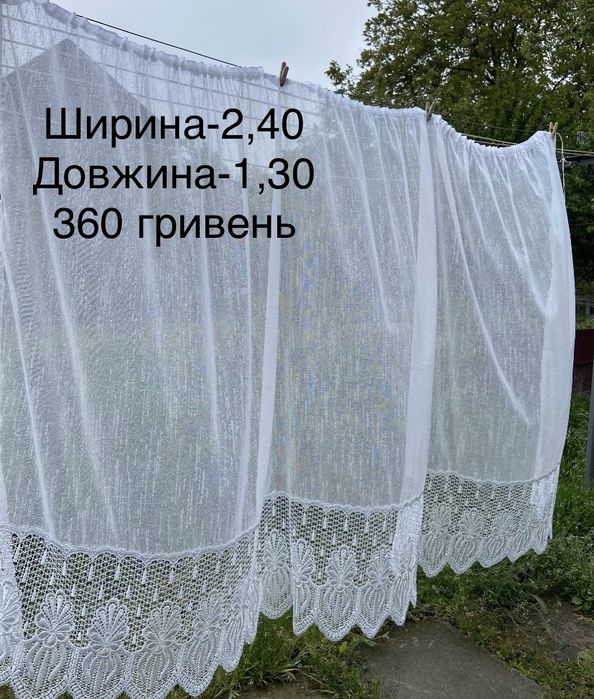 Багато тюлей є різних