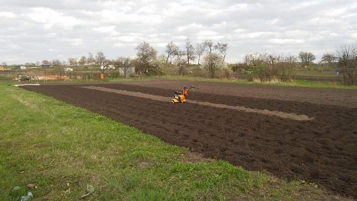 Glebogryzarka separacyjna - usługi