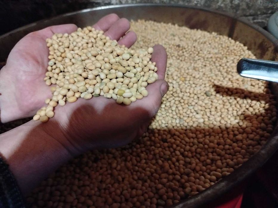 Продам сою не ГМО.