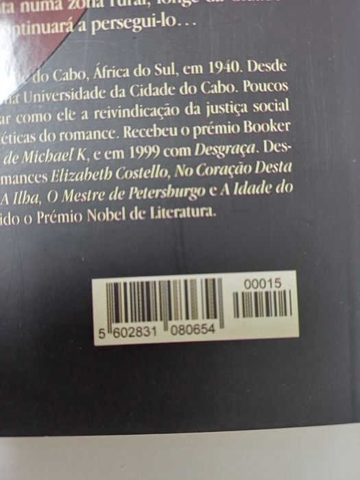 J.M. Coetzee - Desgraça