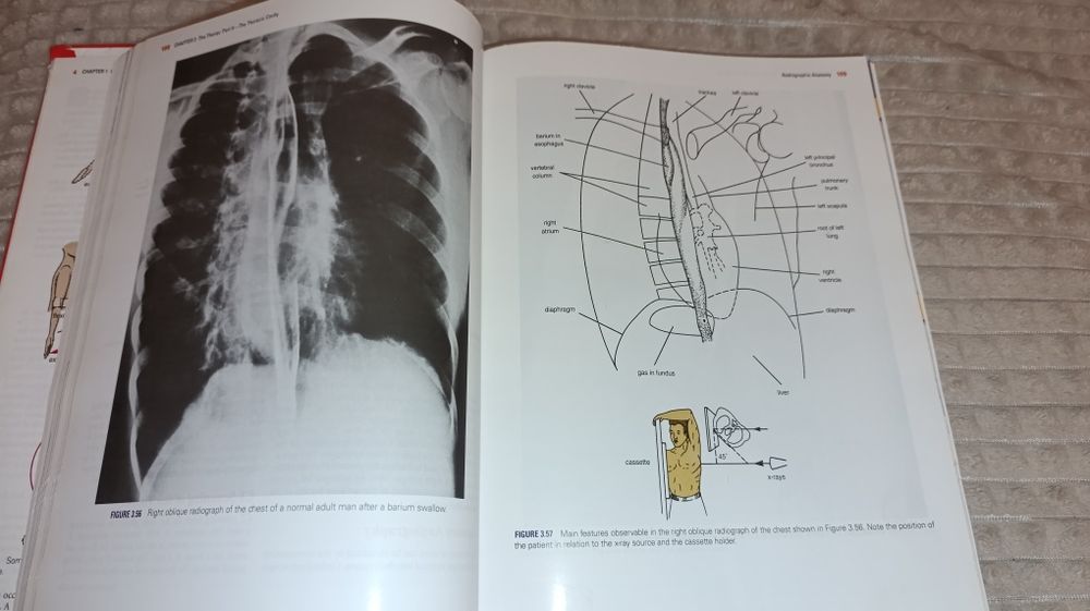 Clinical Anatomy by regions adition 9 RichardS. Snell, MD, PhD