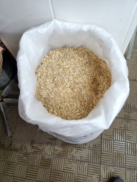 Продам опилки сосна