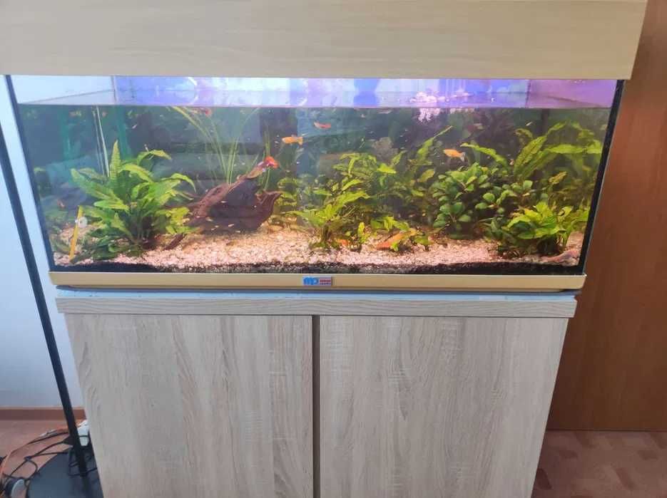 akwarium eheim 200l z szafką