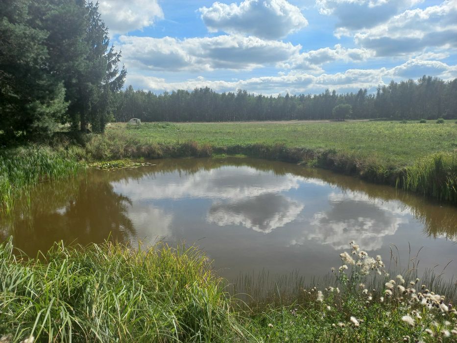 Dom – Grabowo - Widok 3