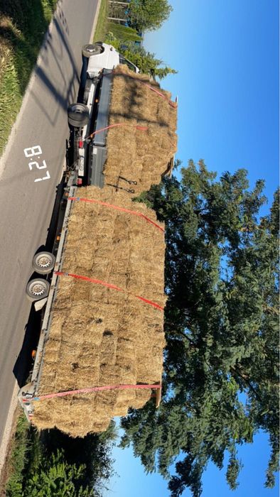 Wynajem auta z kierowcą Transport, przewóz rzeczy usługi, wywrotka