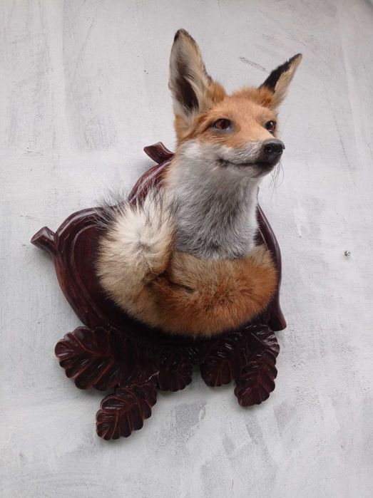 medalion lisa trofea lowiectwo myslistwo prezent