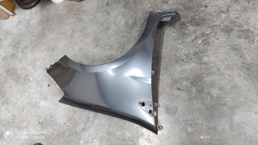 Renault Clio III blotnik prawy TEB66