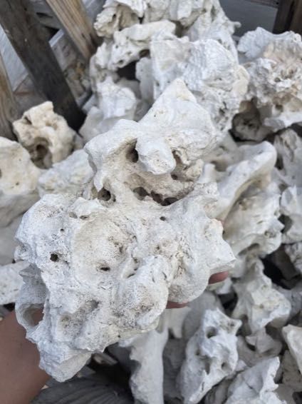 WAPIEŃ FILIPIŃSKI Skała Wapienna Kamień Naturalny Akwarium Terrarium