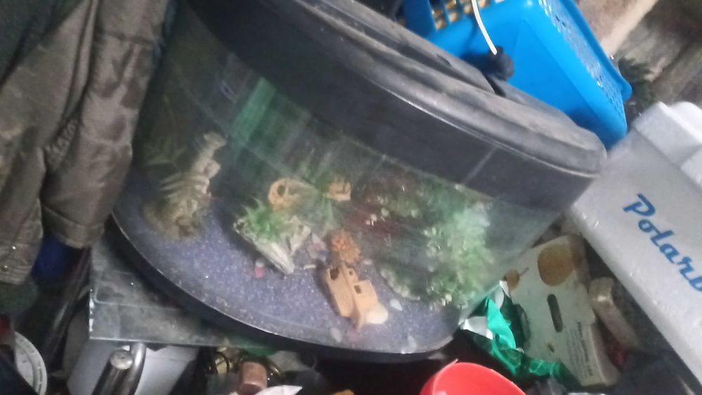 Aquário para peixes grande.