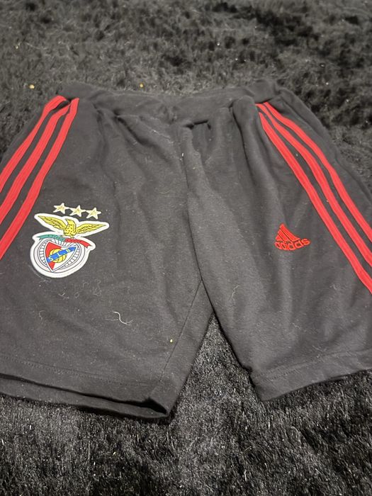 Fato treino Manga Curta Benfica e camisola manga comprida de treino