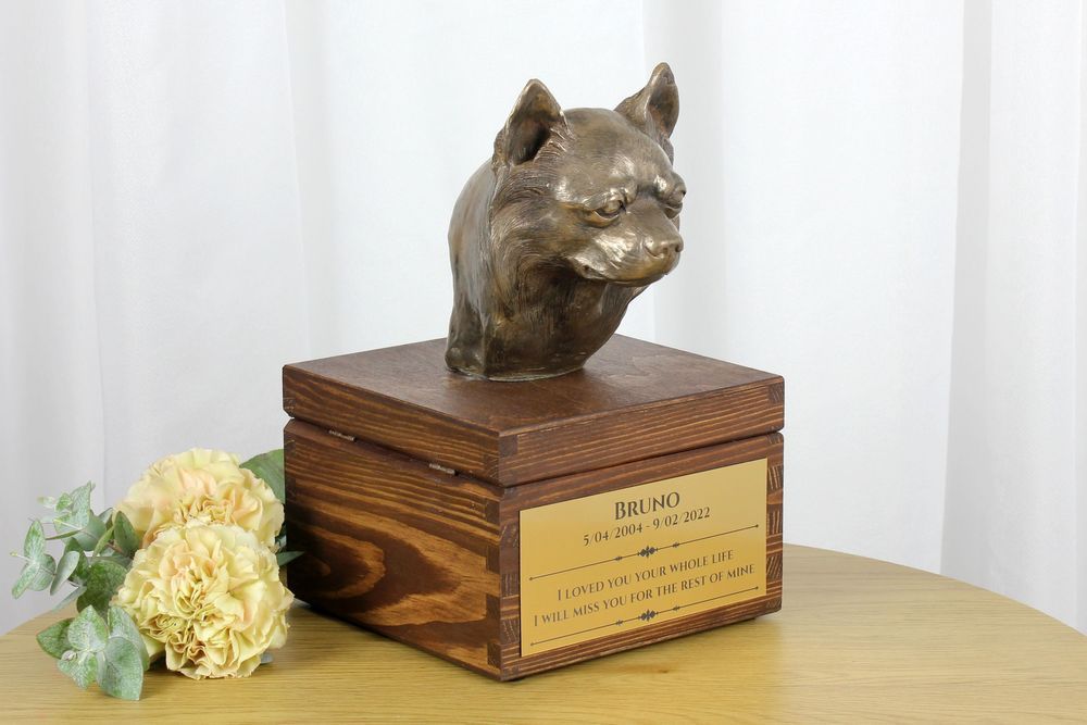 Chihuahua długowłosy urna na skrzynce brązowa Art-Dog