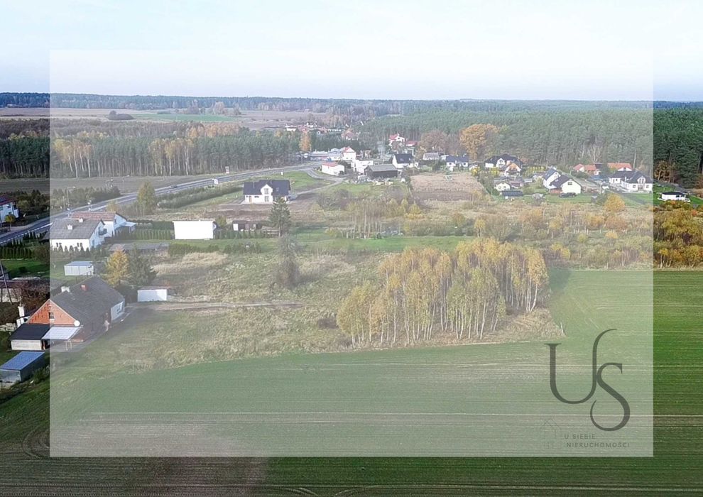 Działka budowlana z zagajnikiem brzozowym, tylko 56 zł/m2 - View 6