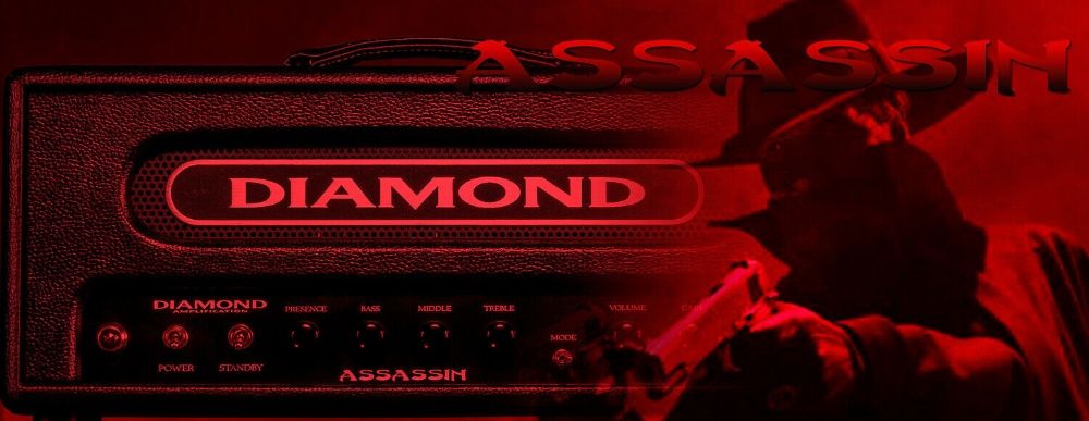 Amplificador Diamond Assassin Hand Made in USA