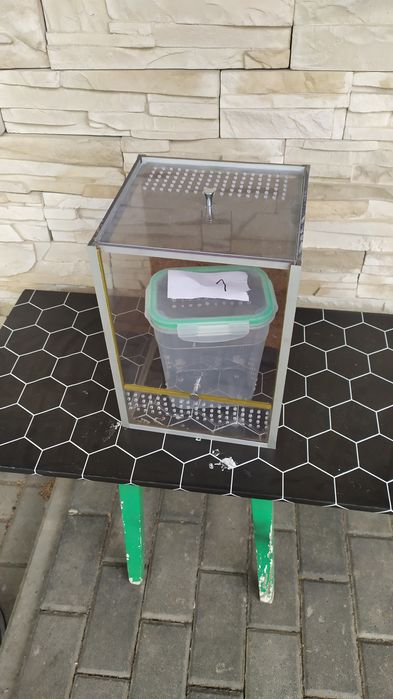 Terrarium dla modliszek i innych.