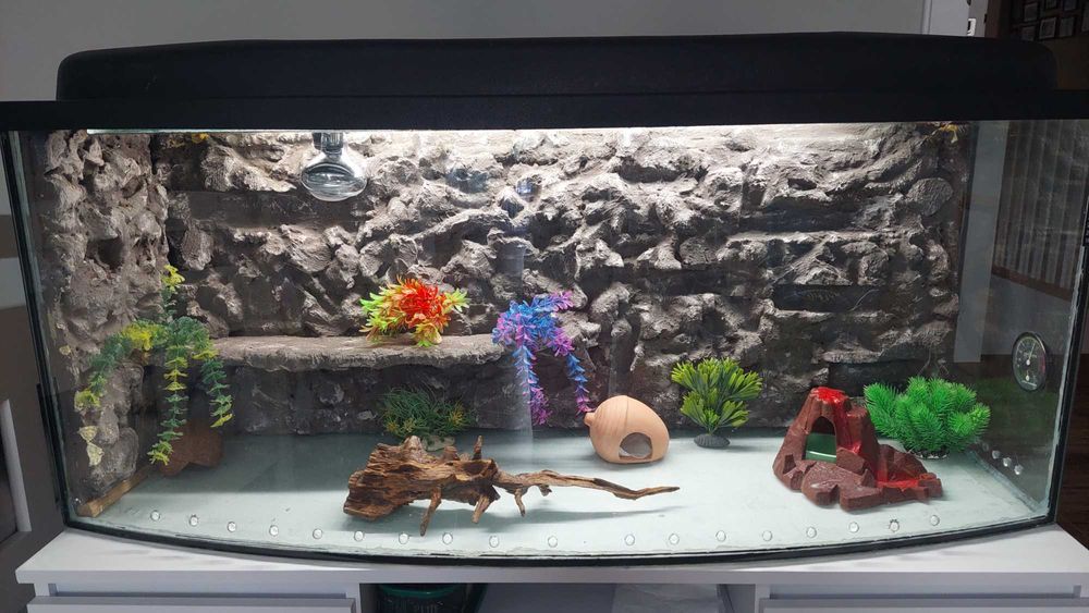 Terrarium dla gekona