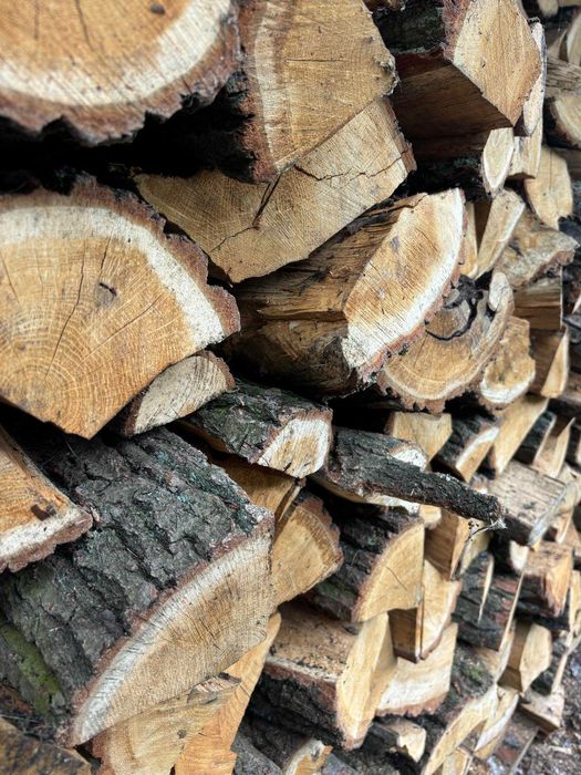 Drewno kominkowe - Transport Gratis