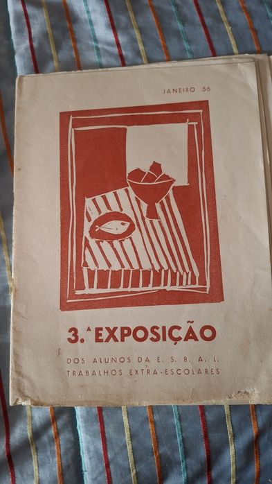 Programa exposição belas artes José escada Bartolomeu Cid  bertholo